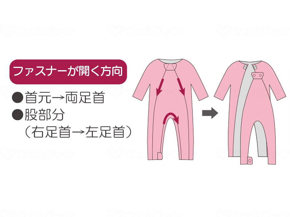 대나무 호랑이 푸드 네마키 A