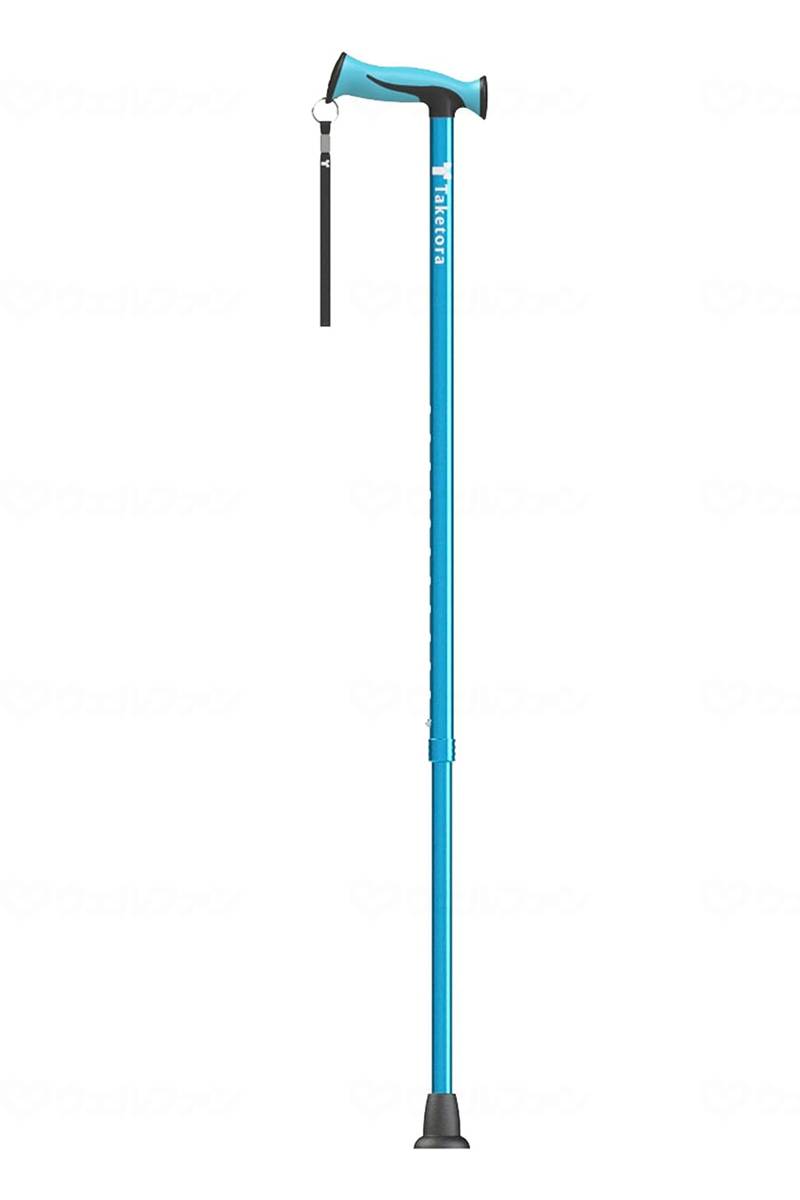 대나무 호랑이 방수 테키 와이드 블루