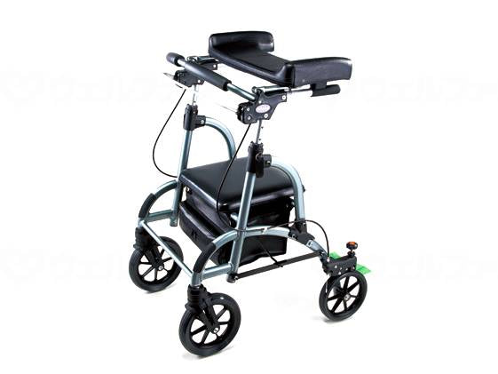 Well Partners Walking Frame Friend Gray Metallic