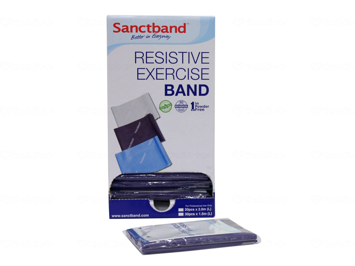 상트 재팬 센트밴드 30피스 프리미엄