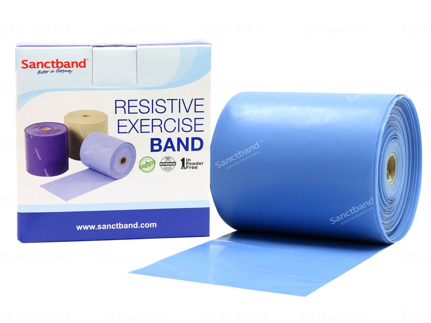 상트 재팬 센트 밴드 50 루드 루르