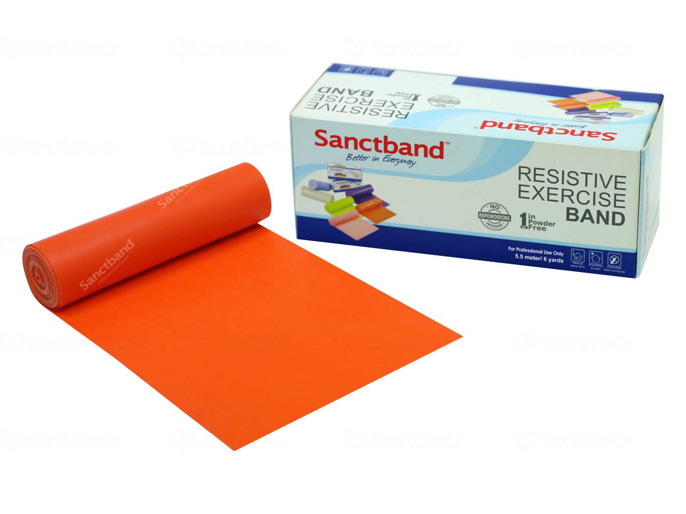 상트 재팬 센트 밴드 6 메이드 로르 오렌지 라이트