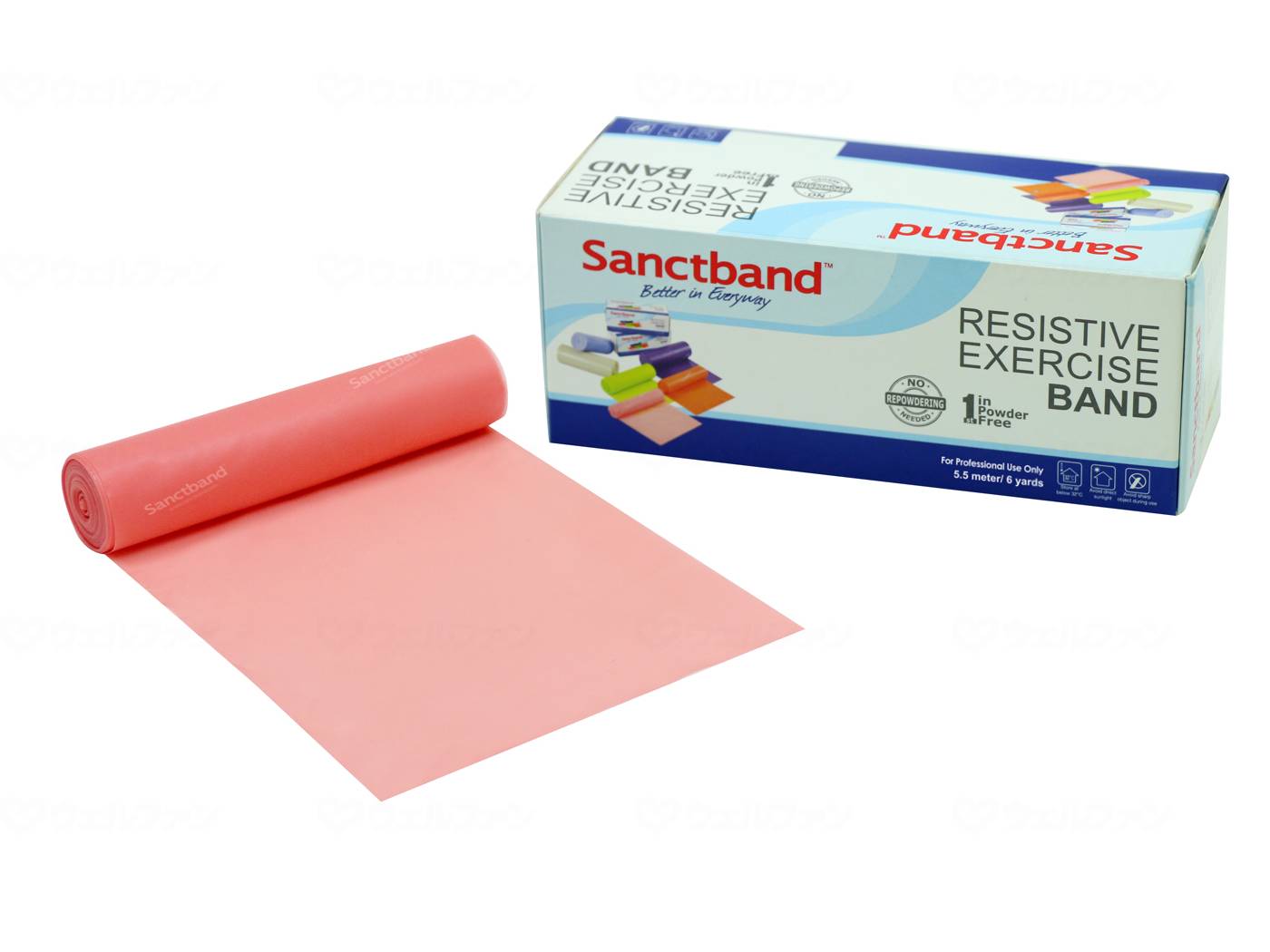 상트 재팬 센트밴드 6마드 로르 필치 익스트로라이트