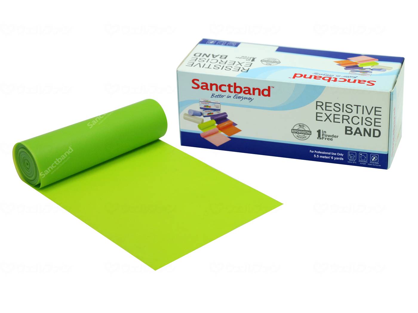 상트 재팬 센트 밴드 6 타임 로울 리임 글린