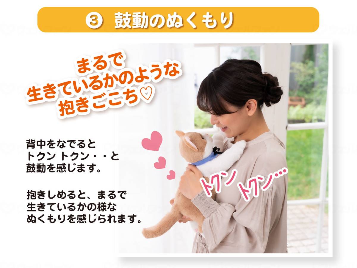 イワヤなごみケーションにゃんこ ぬくもり