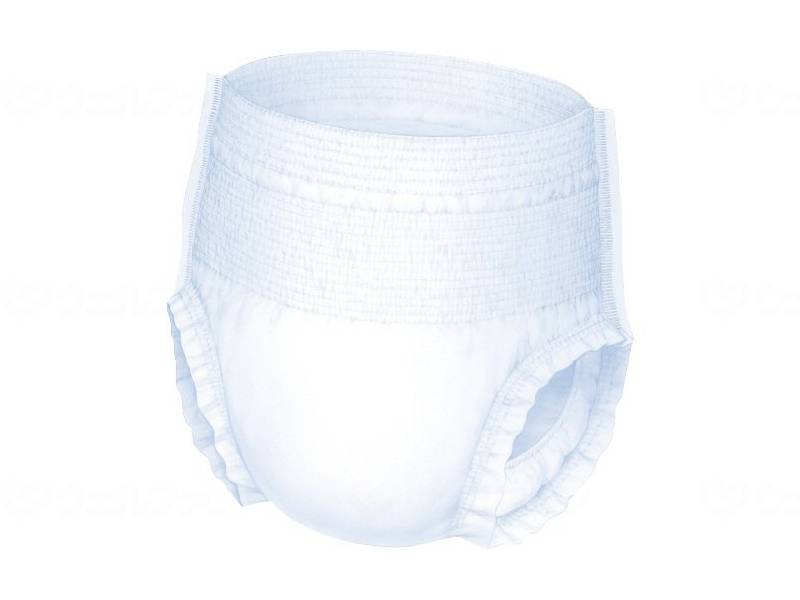 Nippon Paper Crecia Skin Care Acty Thin Pants Deodorizing Antibacterial Plus Case L-LL 16 Pieces