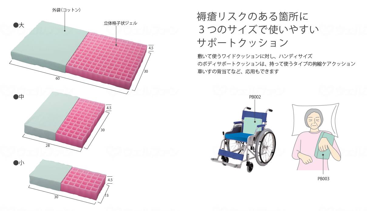 팬디나 파이터·보디사포트 쿠션 대