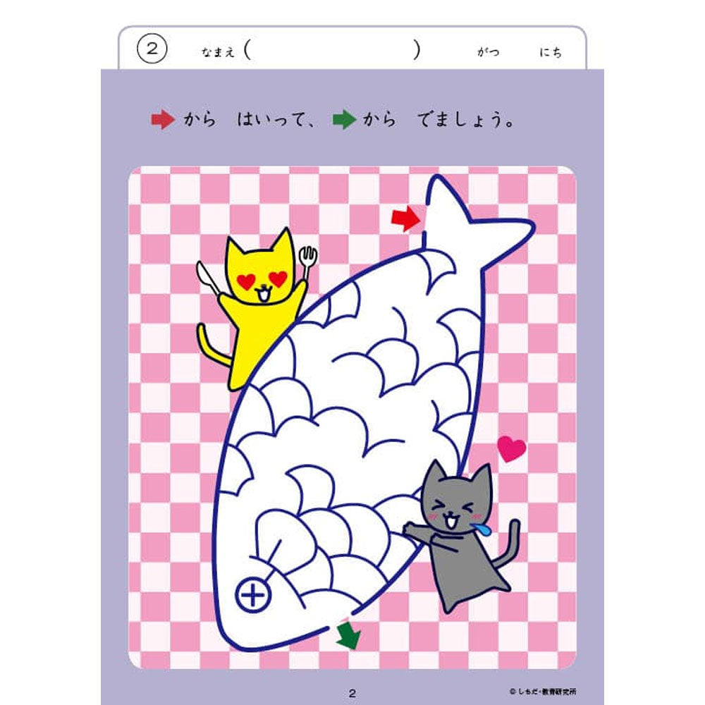 Shichida Method Intelligence Drill 3-4 Years Old Maze 1 Piece