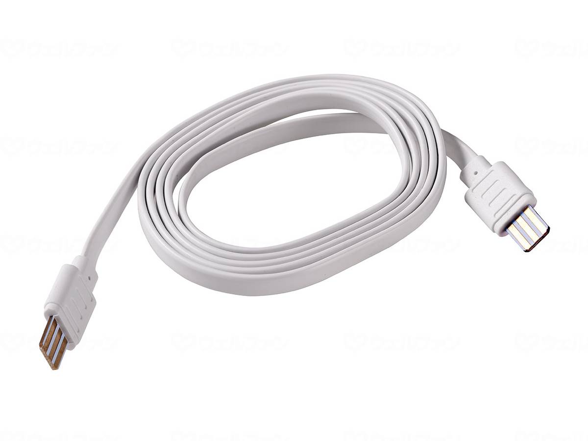 Asahi Denki LED multipurpose light connection cord 1m
