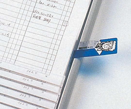 Order scale 30×380mm HC190 1 piece