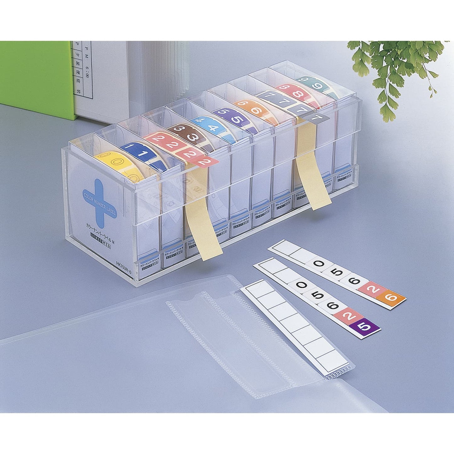 見出し紙 カルテ 23-6774-00 LIHITLAB． HK791(50マイイリ)