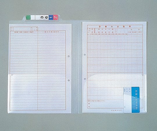 차트 폴더 A4 요코 50장×4봉입 CF-A4L-2W 1상자(50장×4봉입)