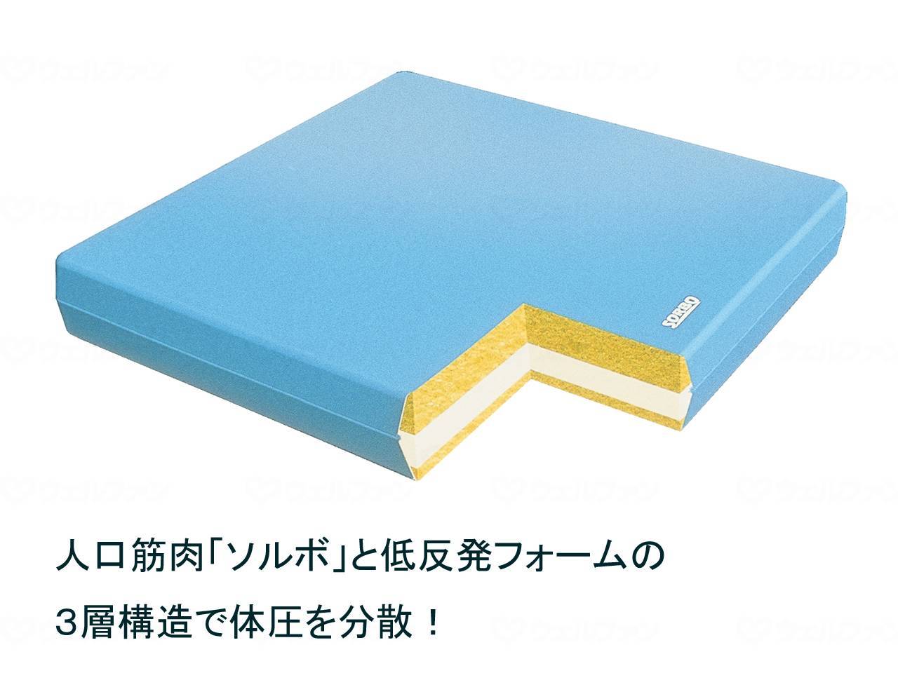 三進興産ｿﾙﾎﾞ健康ﾏｯﾄ　ﾚｷﾞｭﾗｰﾀｲﾌﾟ ﾌﾞﾙｰ ﾚｷﾞｭﾗｰﾀｲﾌﾟ