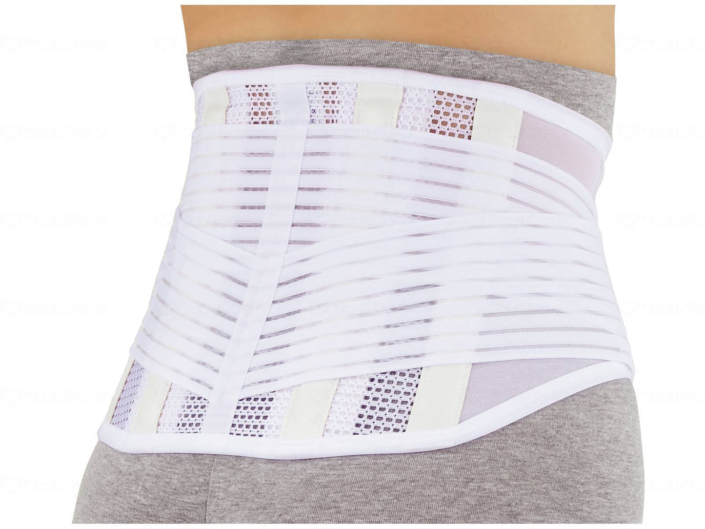 삼진 흥산 소르보 즐겁게 허리 가드