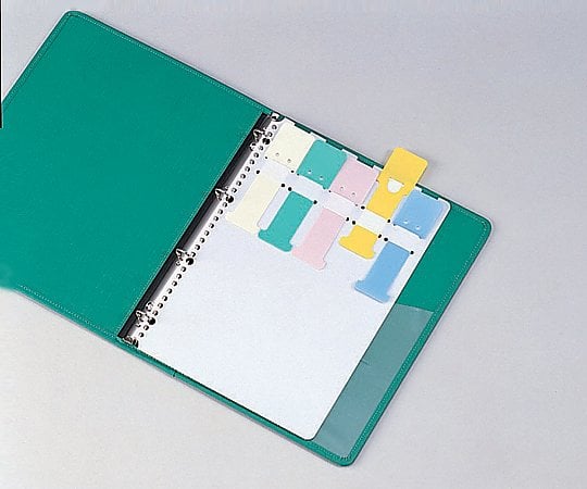 カラーシグナル A4、2・4・30穴 10枚入　SK-455 1袋(10枚入)