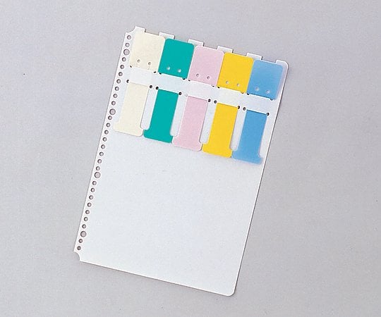 カラーシグナル A4、2・4・30穴 10枚入　SK-455 1袋(10枚入)