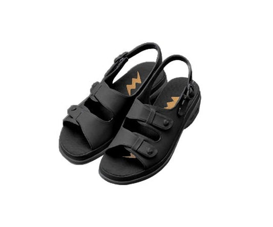 Perfect Nurse (Nurse Shoes) Black L PN00103 1 pair