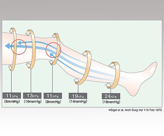 안실크® 프로 J 하이삭스 양발 SS 17425 1발/상자