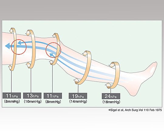 앤실크® 프로 J 하이삭스 양발 L 17422 1발/상자