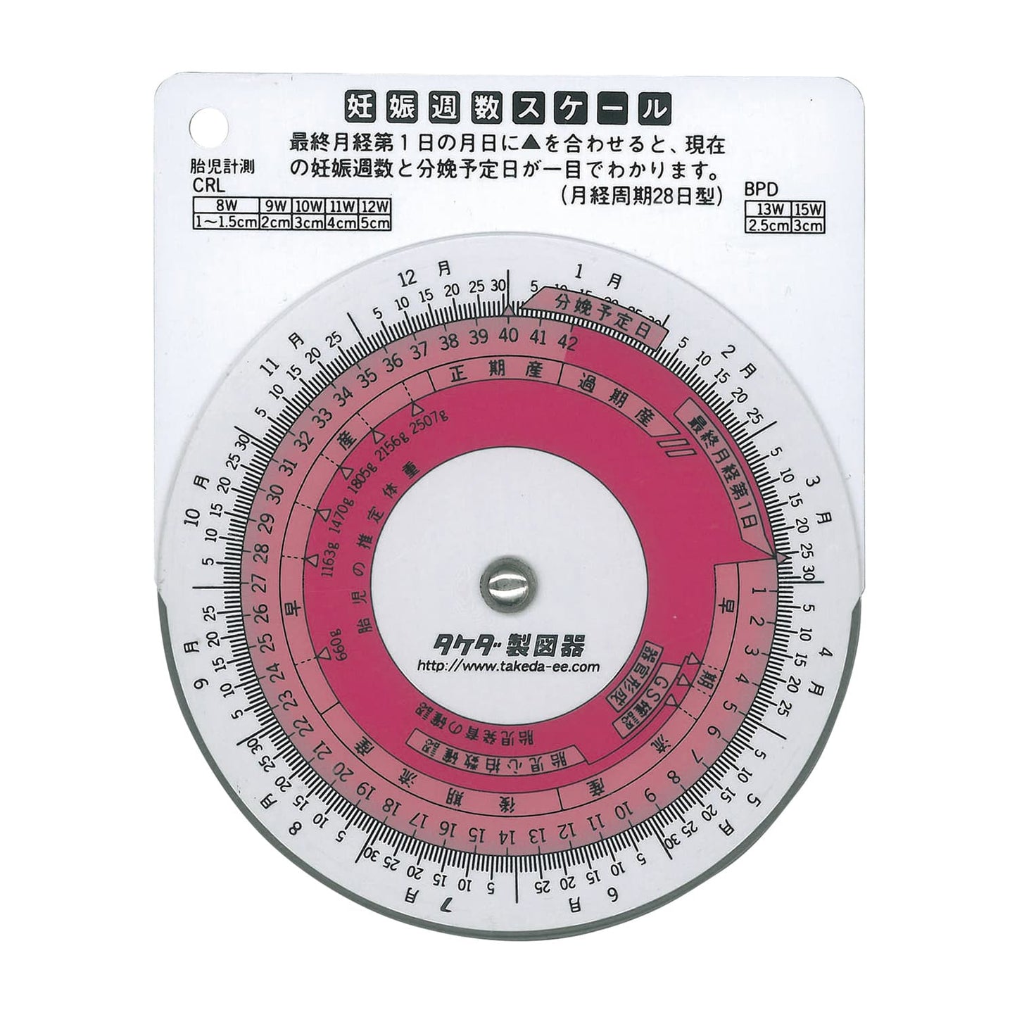 妊娠週数スケール 24-2336-00 タケダ 25-3035