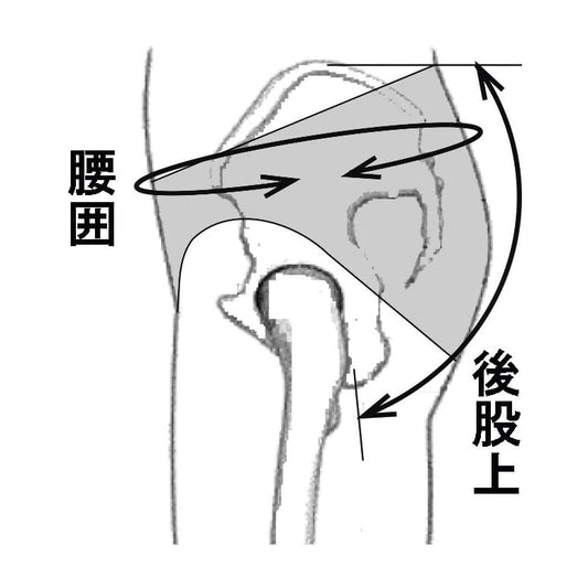 アダム骨盤底サポーター APS-90K コルセット 24-8407-01 アダム医健 APS-90K(H85-95CM)