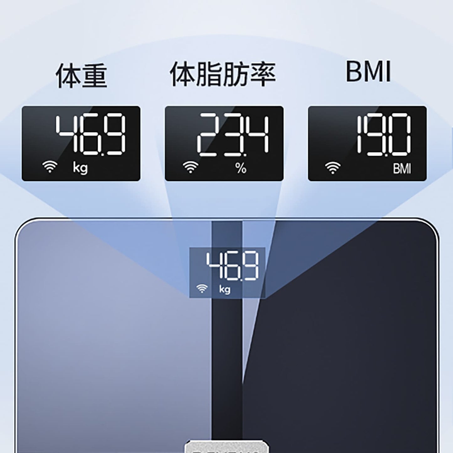 체조계 Premium 체중계 25-7295-00 RENPHO ES-WBE28 (블랙)