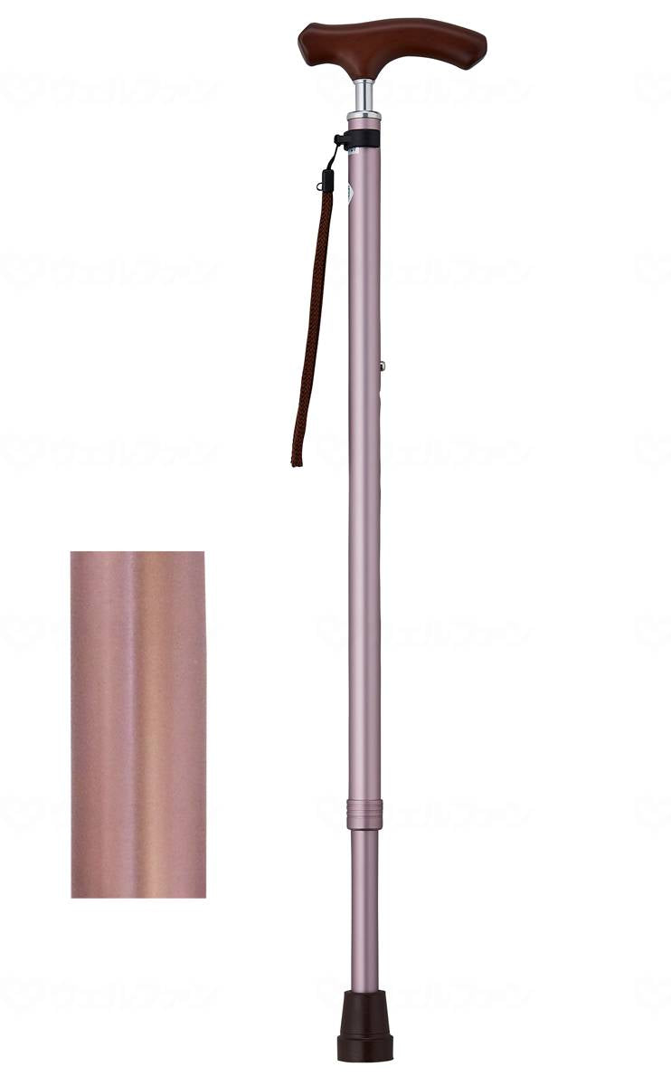 웰 팬 드림 라이프 스틱 스림 딥 텔레스코픽 바이크 타이프 (무지) 로이 라브