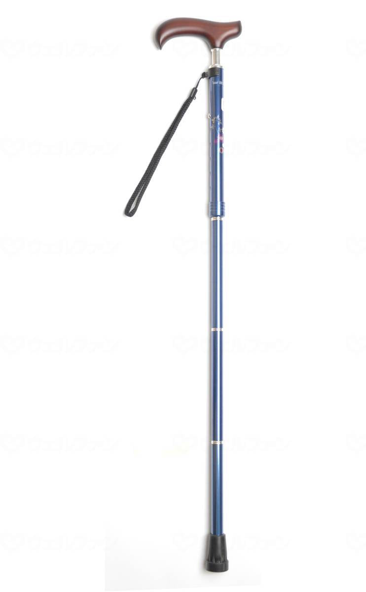 Wellfun Dream Life Stick Slim Neck Folding Slim Type (Pattern) Peacock Blue x Flower Gift Box Specification