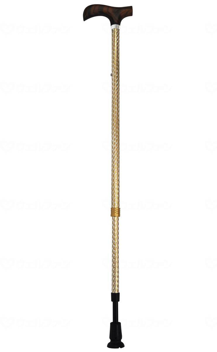 Wellfun Dream Life Stick Lumier Shiny Gold