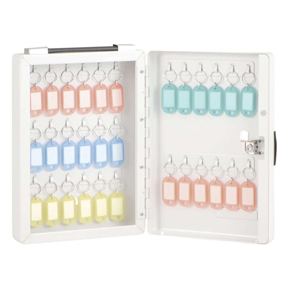 キーボックス 30個 200×65×284mm　NKB-E03 1個