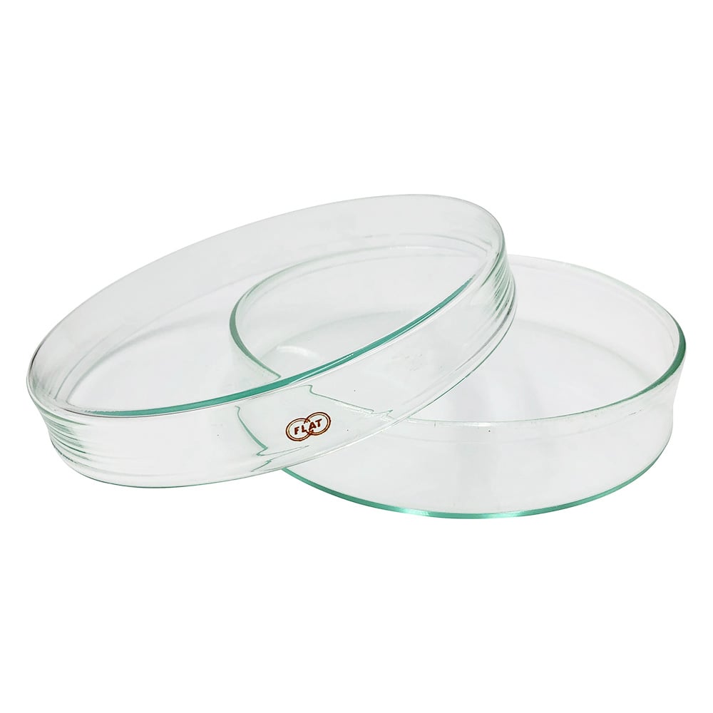 Flat petri dish φ122×26mm FS-120 1 piece