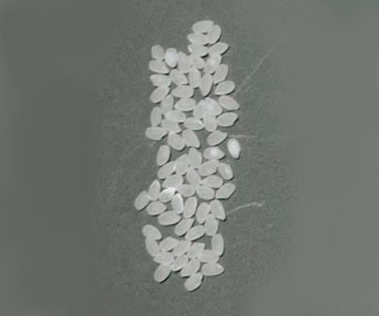 凍結粉砕ハンディミル　FHM-M1 1個