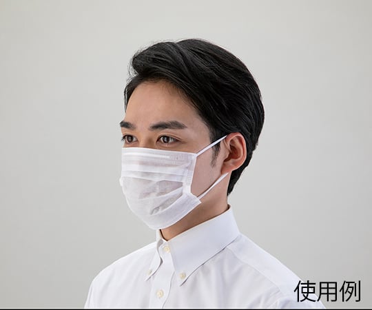 ECO Mask 2PLY Omega Pleats 50 pieces 1 box (50 pieces)