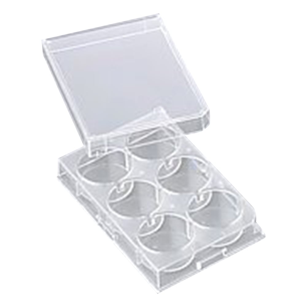 6홀 플레이트 평저 커버 부착 멸균제 60장입 P06F01S 1상자(1장×60봉입)