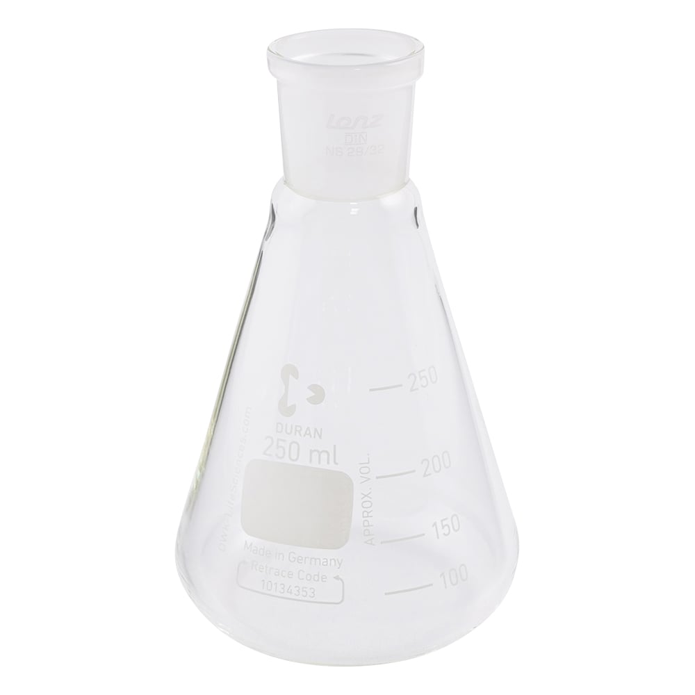 NS common sliding Erlenmeyer flask 250mL 03022949 1 piece