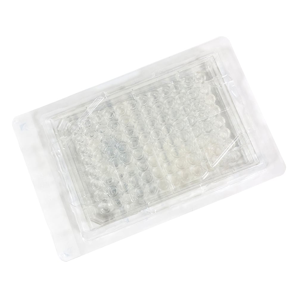 셀 컬쳐 플레이트 멀티 웰 플레이트·평저 뚜껑 첨부 96 웰 개 포장 1상자(1장×50봉투입) 353072 1상자(1장×50봉투입)