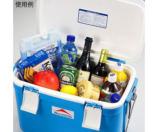 クーラーボックス(モンタナ) 25L 475×280×359mm 1個