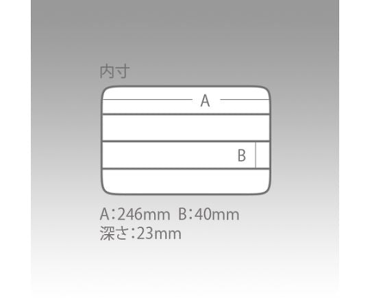 분별 클리어 케이스 255×190×28mm C-1200NS 1개