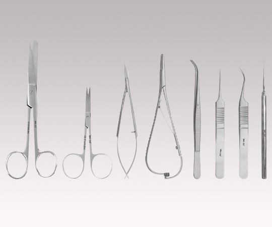 Anatomy training kit BTAKIT-I BTAKIT-I 1 set