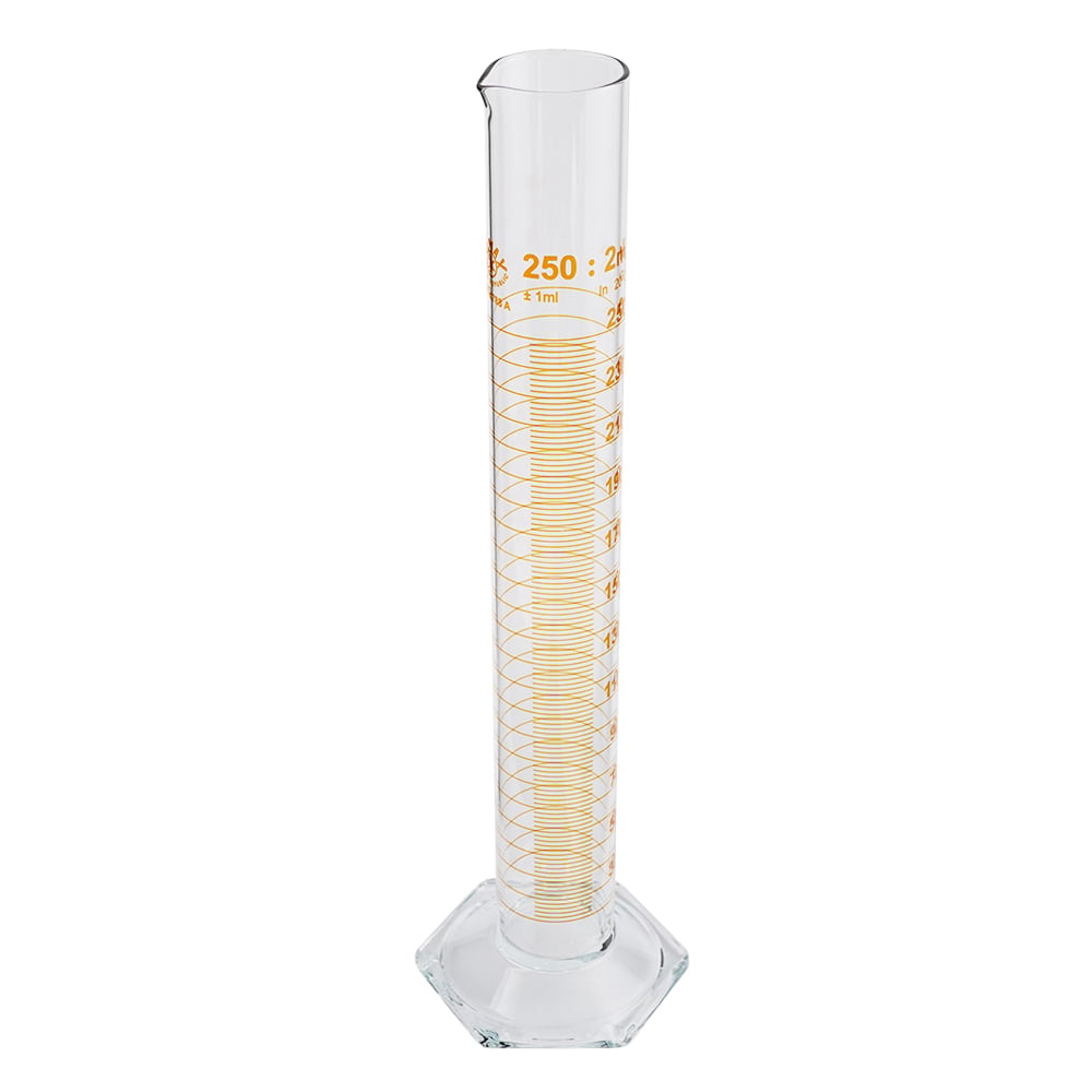 메스 실린더(클래스 A) 250mL 1634AH/250 1개