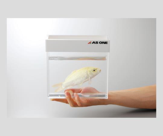 観察用アクリル水槽平型（200×60） 1台