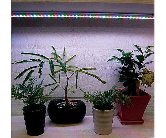 植物育成補光用＋ディスプレイ用ＬＥＤ 1セット