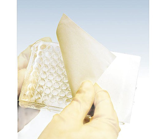 브리저블 실링 테이프 1상자(25장×2포입) 241205 1상자(25장×2포입)