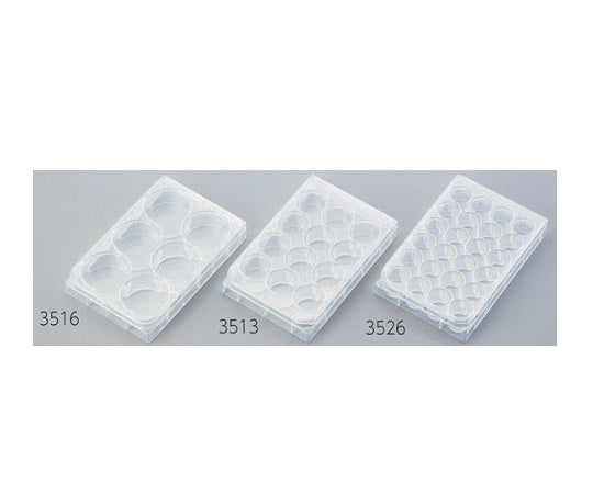 マルチプルウェルプレート 24ウェル 平底 1箱（1枚×50袋入）　3526 1箱(1枚×50袋入)