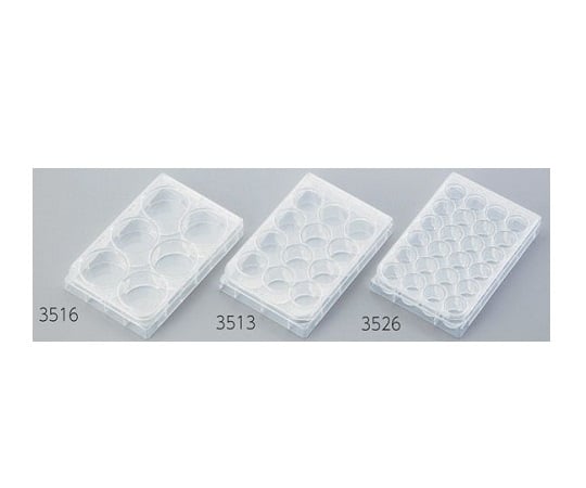 멀티플 웰 플레이트 6웰 평저 1상자(1장×50봉투입) 3516 1상자(1장×50봉투입)