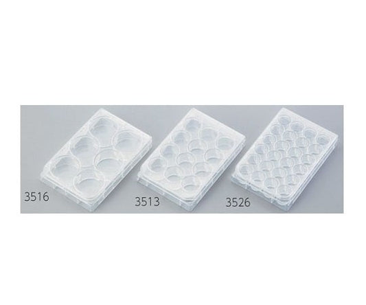 멀티플 웰 플레이트 6웰 평저 1상자(1장×50봉투입) 3516 1상자(1장×50봉투입)