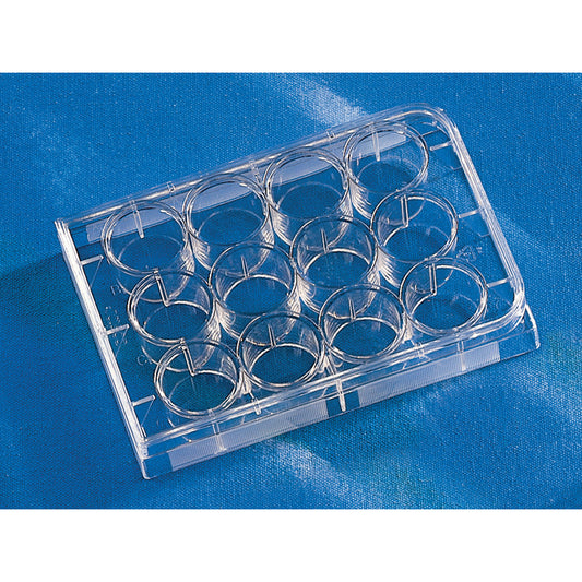 멀티플 웰 플레이트 12웰 평저 1상자(1장×50봉투입) 3513 1상자(1장×50봉투입)