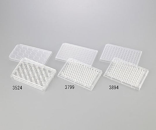 멀티플 웰 플레이트 24웰 평저 1상자(1장×100봉투입) 3524 1상자(1장×100봉투입)