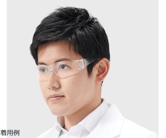 클린 가드 V10 엘리먼트 67601 1개