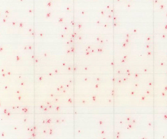 MC-Media Pad ACplus(R-AC) 일반 생균용 신속/일반 생균용 겸용 (1000장) SK01A25 1케이스(100장×10상자입)